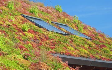 Childerley Gate living roof systems